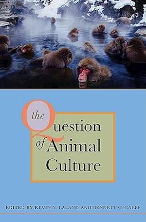 The Question of Animal Culture