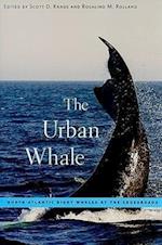 The Urban Whale