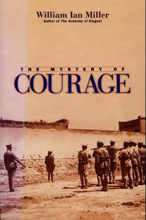 Mystery of Courage