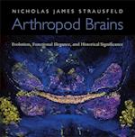 Arthropod Brains