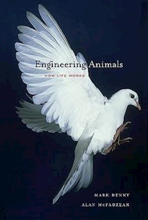 Engineering Animals