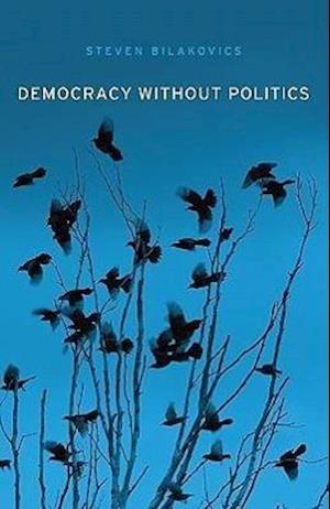 Democracy without Politics