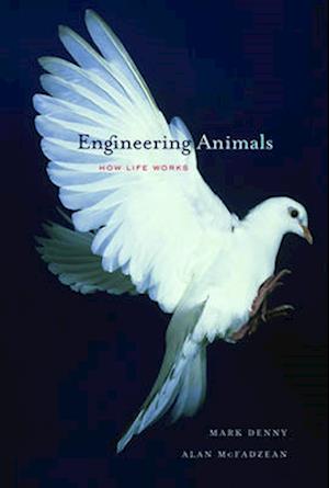 Engineering Animals