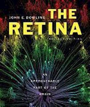 The Retina