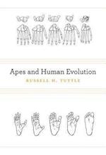 Apes and Human Evolution