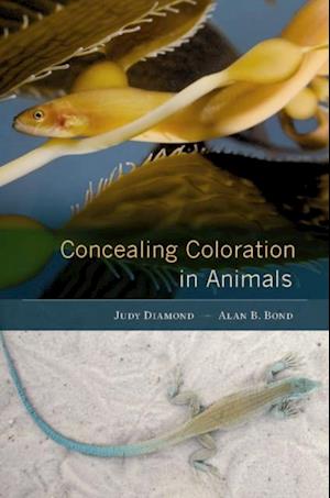 Concealing Coloration in Animals