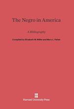 The Negro in America