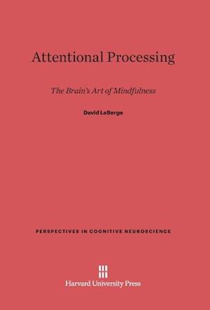 Attentional Processing
