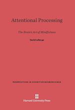 Attentional Processing