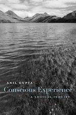 Conscious Experience