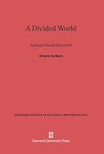 A Divided World