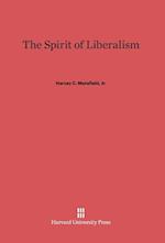 The Spirit of Liberalism