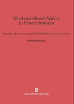 Electrical Shock Waves in Power Systems