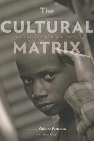 The Cultural Matrix
