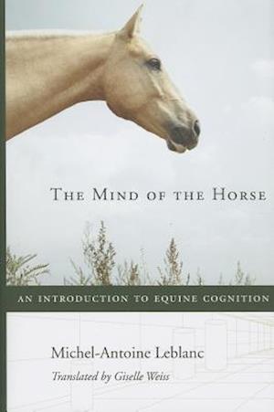 The Mind of the Horse