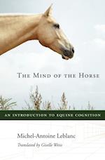 Mind of the Horse