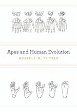 Apes and Human Evolution