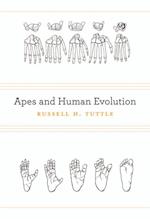 Apes and Human Evolution