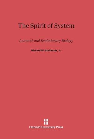 The Spirit of System