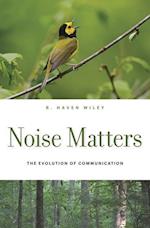 Noise Matters