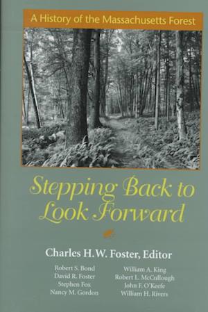 Stepping Back to Look Forward