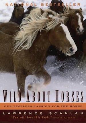 Wild about Horses