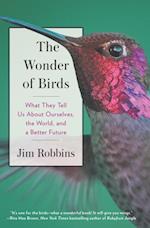 Wonder of Birds