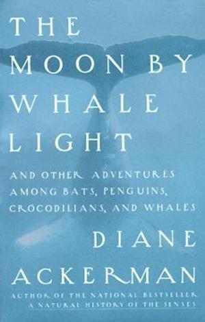 Moon by Whale Light