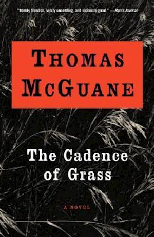 The Cadence of Grass