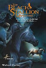 The Black Stallion Mystery