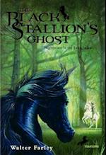 The Black Stallion's Ghost
