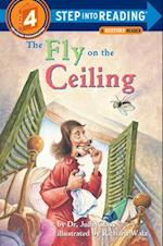 The Fly on the Ceiling