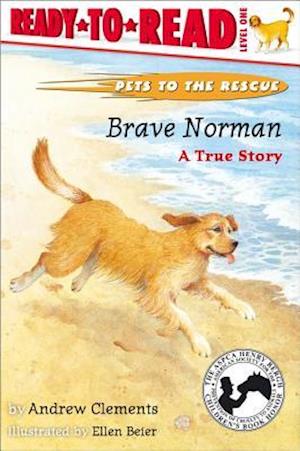 Brave Norman