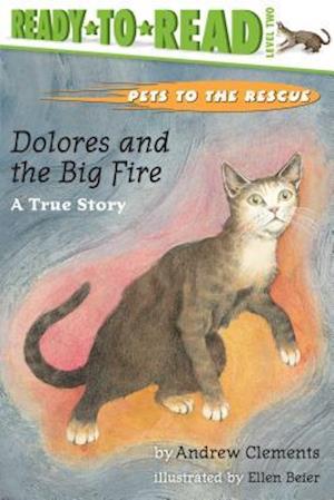 Dolores and the Big Fire