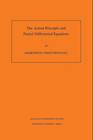 The Action Principle and Partial Differential Equations