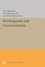 Kierkegaard and Consciousness