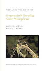 Population Ecology of the Cooperatively Breeding Acorn Woodpecker. (MPB-24), Volume 24