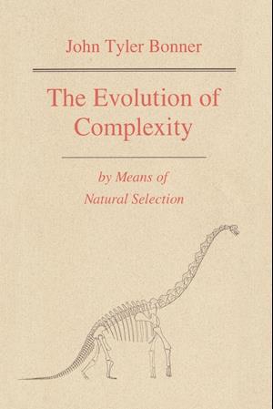 The Evolution of Complexity by Means of Natural Selection