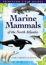 Marine Mammals of the North Atlantic