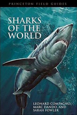 Sharks of the World