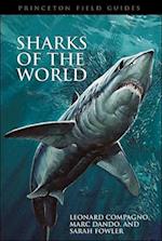 Sharks of the World