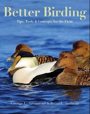 Better Birding