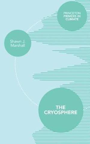 The Cryosphere