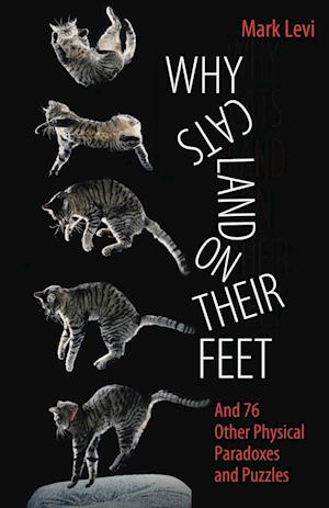 Why Cats Land on Their Feet