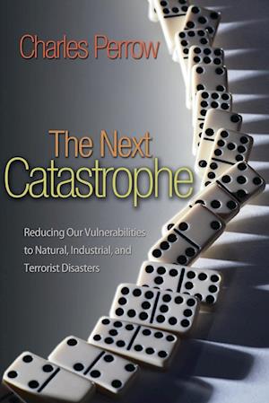 The Next Catastrophe