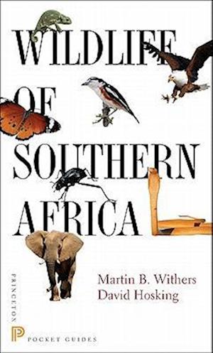 Wildlife of Southern Africa