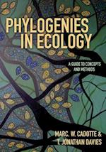 Phylogenies in Ecology