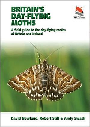 Britain's Day-flying Moths