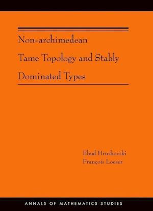 Non-Archimedean Tame Topology and Stably Dominated Types