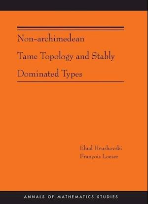 Non-Archimedean Tame Topology and Stably Dominated Types (AM-192)